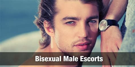 escort gay|Gay, Bi and Trans Escorts